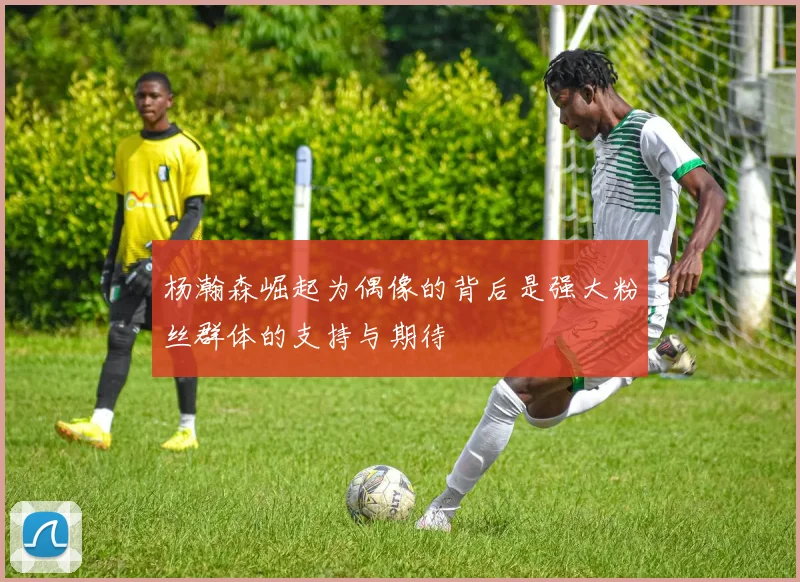 杨瀚森崛起为偶像的背后是强大粉丝群体的支持与期待