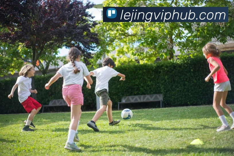 乐竟体育平台生态图